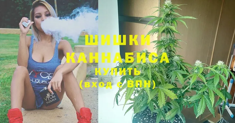 купить наркотики сайты  Навашино  МЕГА tor  Канабис SATIVA & INDICA 